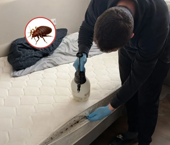 Technicien traitant un matelas contre les punaises de lit à Fleury-Mérogis